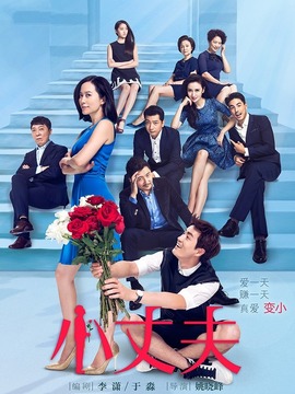 小丈夫剧情介绍_天天影视