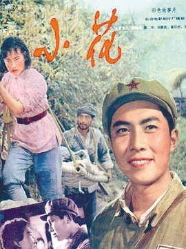 小花剧情介绍_天天影视
