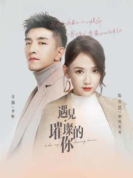 遇见·璀璨的你剧情介绍_天天影视
