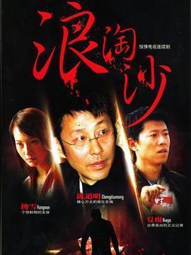 浪淘沙剧情介绍_天天影视