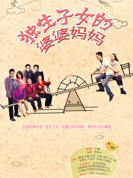 独生子女的婆婆妈妈剧情介绍_天天影视