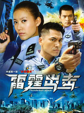 要案组雷霆出击剧情介绍_天天影视