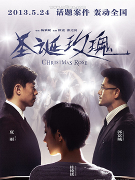 圣诞玫瑰剧情介绍_天天影视