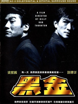 黑金剧情介绍_天天影视