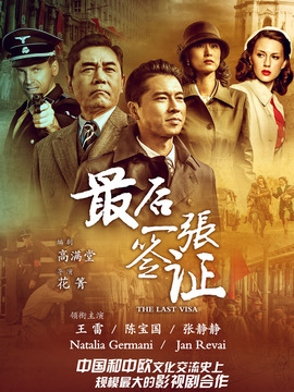 最后一张签证剧情介绍_天天影视