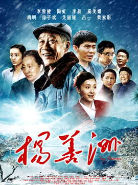 杨善洲剧情介绍_天天影视