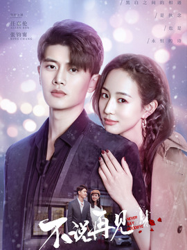 不说再见剧情介绍_天天影视