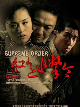 红色追击令剧情介绍_天天影视