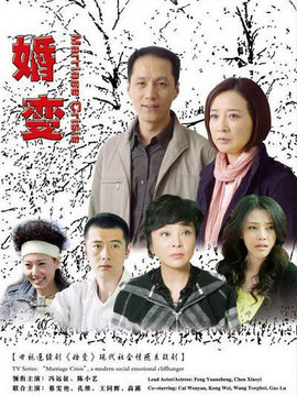 婚变剧情介绍_天天影视