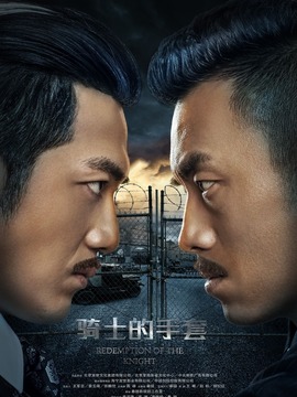 骑士的手套剧情介绍_天天影视