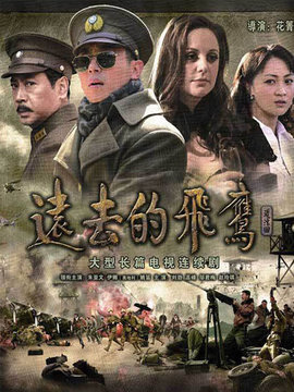 远去的飞鹰剧情介绍_天天影视