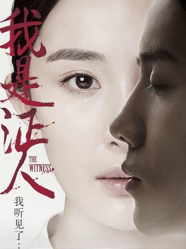 我是证人剧情介绍_天天影视