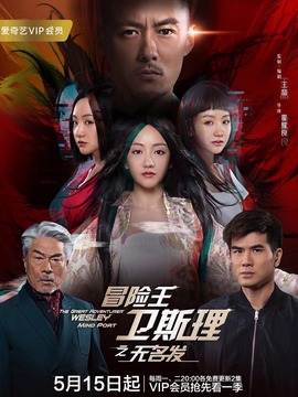 冒险王卫斯理之无名发剧情介绍_天天影视