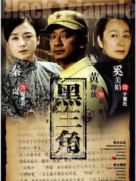 黑三角剧情介绍_天天影视