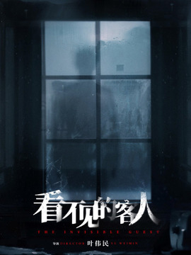 看不见的客人2023剧情介绍_天天影视