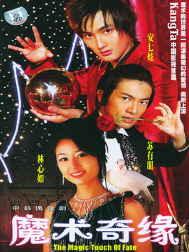 魔术奇缘剧情介绍_天天影视