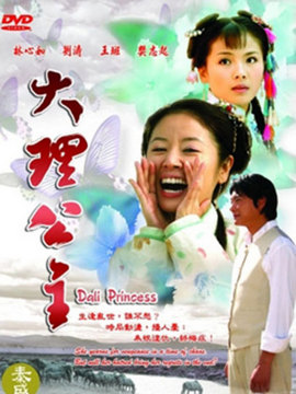 大理公主剧情介绍_天天影视
