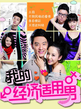 我的经济适用男剧情介绍_天天影视