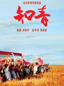 知青剧情介绍_天天影视