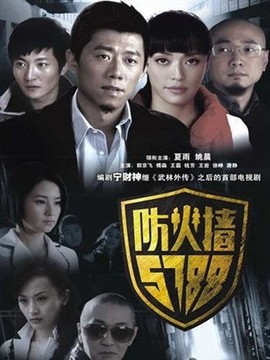 防火墙5788剧情介绍_天天影视