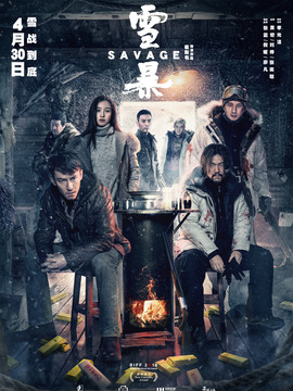 雪暴剧情介绍_天天影视