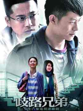 歧路兄弟剧情介绍_天天影视