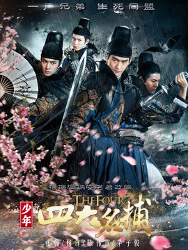 少年四大名捕剧情介绍_天天影视