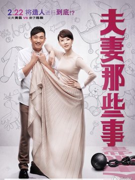 夫妻那些事剧情介绍_天天影视