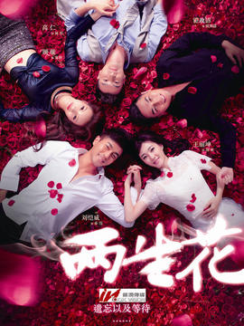 两生花剧情介绍_天天影视