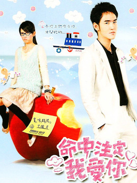 命中注定我爱你剧情介绍_天天影视