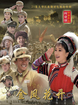 金凤花开剧情介绍_天天影视