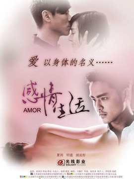 感情生活剧情介绍_天天影视