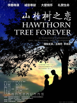 山楂树之恋剧情介绍_天天影视