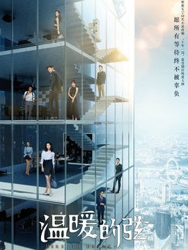 温暖的弦剧情介绍_天天影视