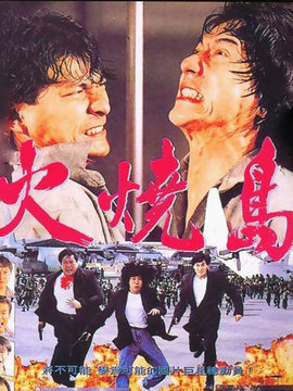 火烧岛剧情介绍_天天影视