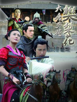 大唐女将樊梨花剧情介绍_天天影视