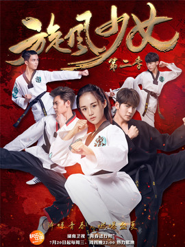 旋风少女第二季剧情介绍_天天影视