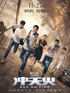 冲天火剧情介绍_天天影视