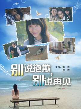 别说抱歉,别说再见剧情介绍_天天影视
