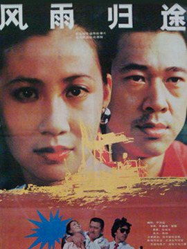 风雨归途剧情介绍_天天影视