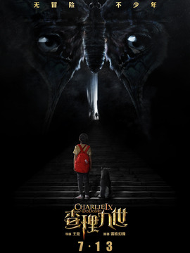 查理九世剧情介绍_天天影视