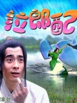 拉郎配剧情介绍_天天影视