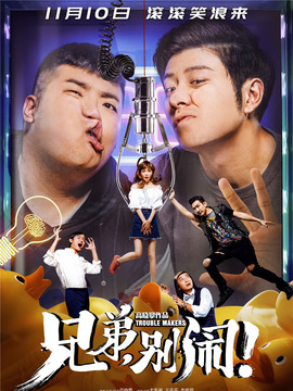 兄弟，别闹！剧情介绍_天天影视