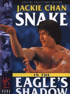 蛇形刁手剧情介绍_天天影视