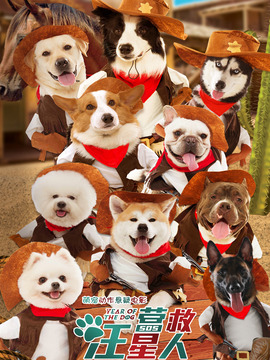 营救汪星人剧情介绍_天天影视