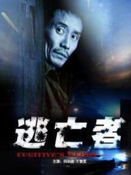 逃亡者剧情介绍_天天影视