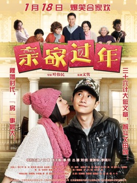 亲家过年剧情介绍_天天影视