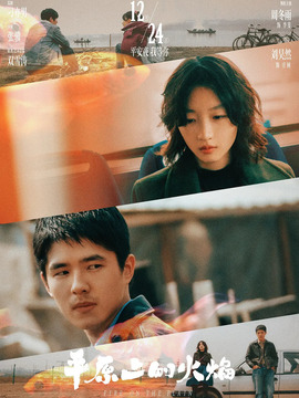 平原上的火焰剧情介绍_天天影视