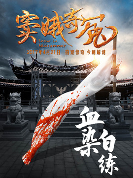 窦娥奇冤剧情介绍_天天影视