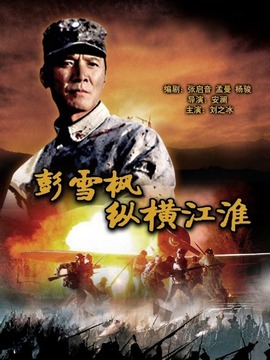 彭雪枫纵横江淮剧情介绍_天天影视